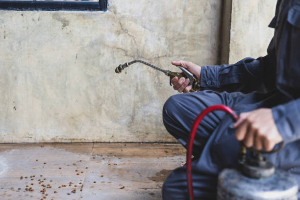 Best Best Pest Control Companies  in Rlsbad, CA